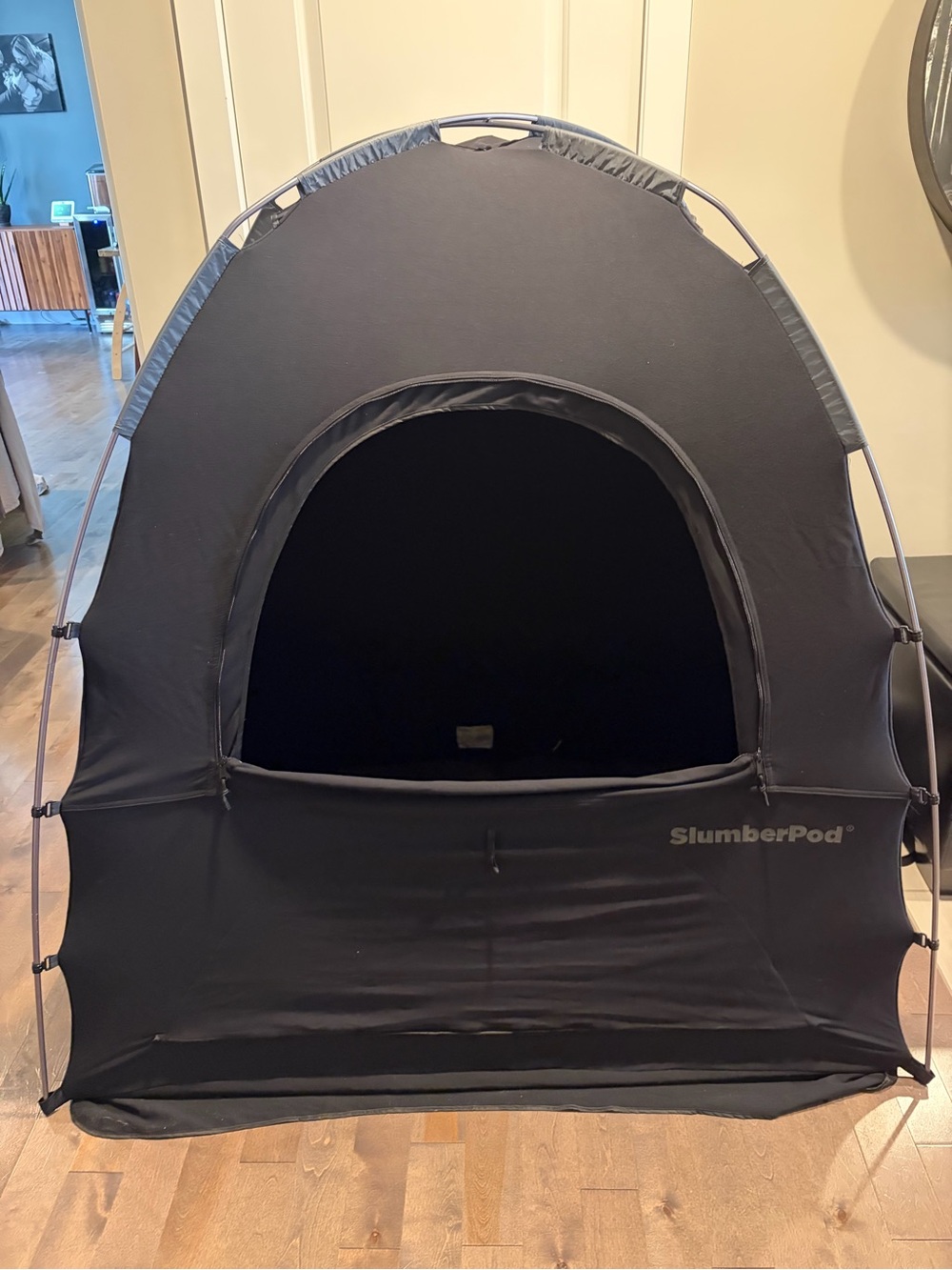 SlumberPod 3.0 - Picture 2 of 6